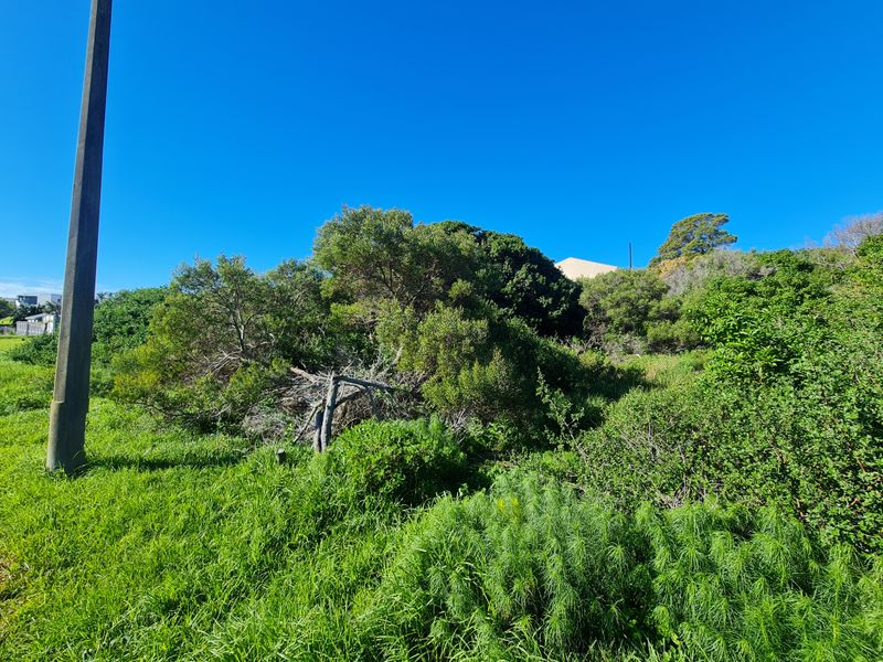 Vacant Stand with Views to the Mountains in Paradise Beach - Photo 3