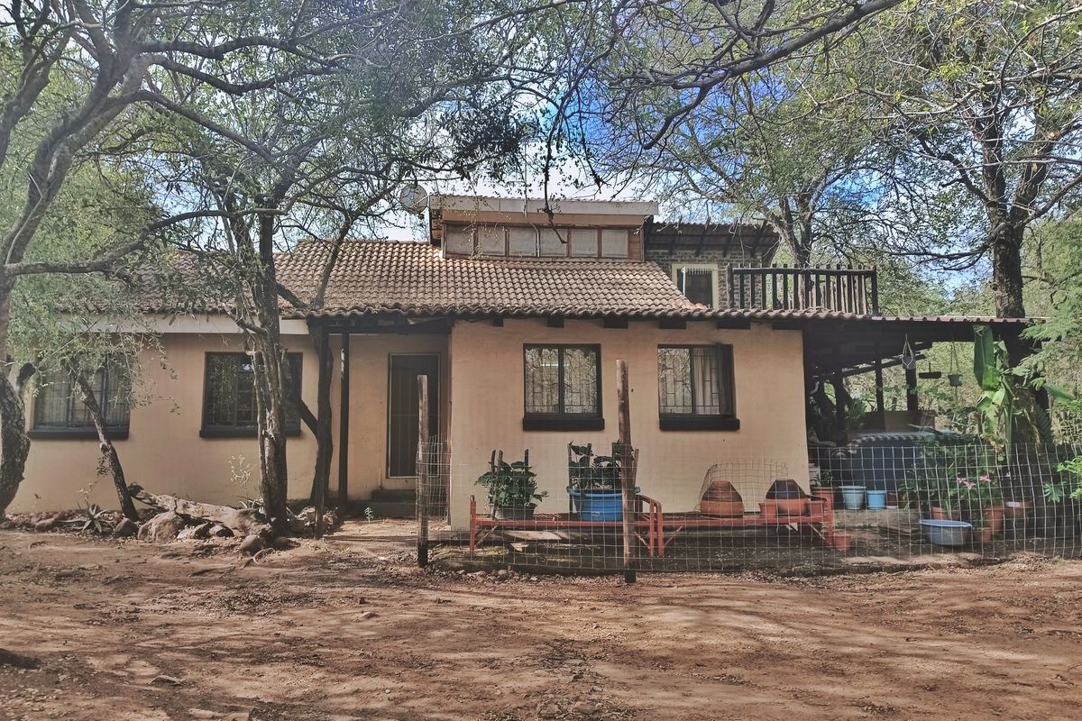 Fixer Upper On Crocodile - Photo 2