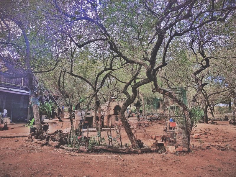Fixer Upper! - Photo 4