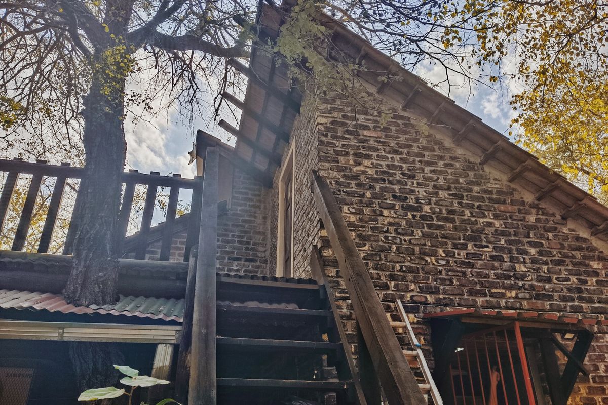 Fixer Upper On Crocodile - Photo 5