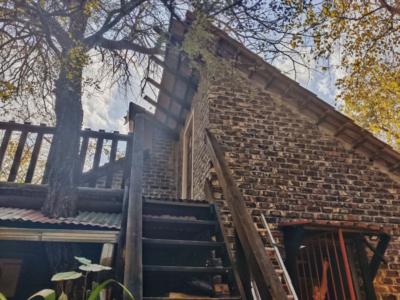 Fixer Upper! - Photo 6