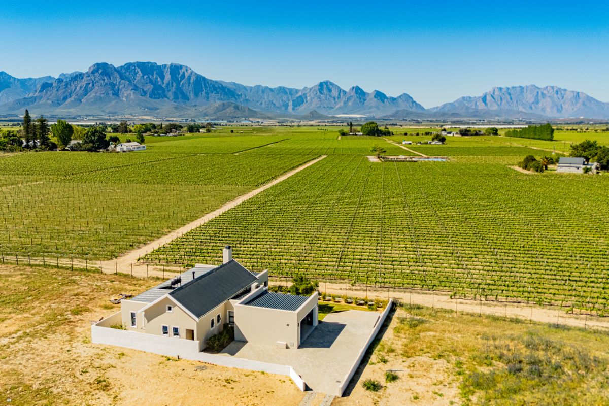 Aerial view of a modern farmhouse set within a vast vineyard, featuring a metal roof, paved driveway, and expansive mountain views.