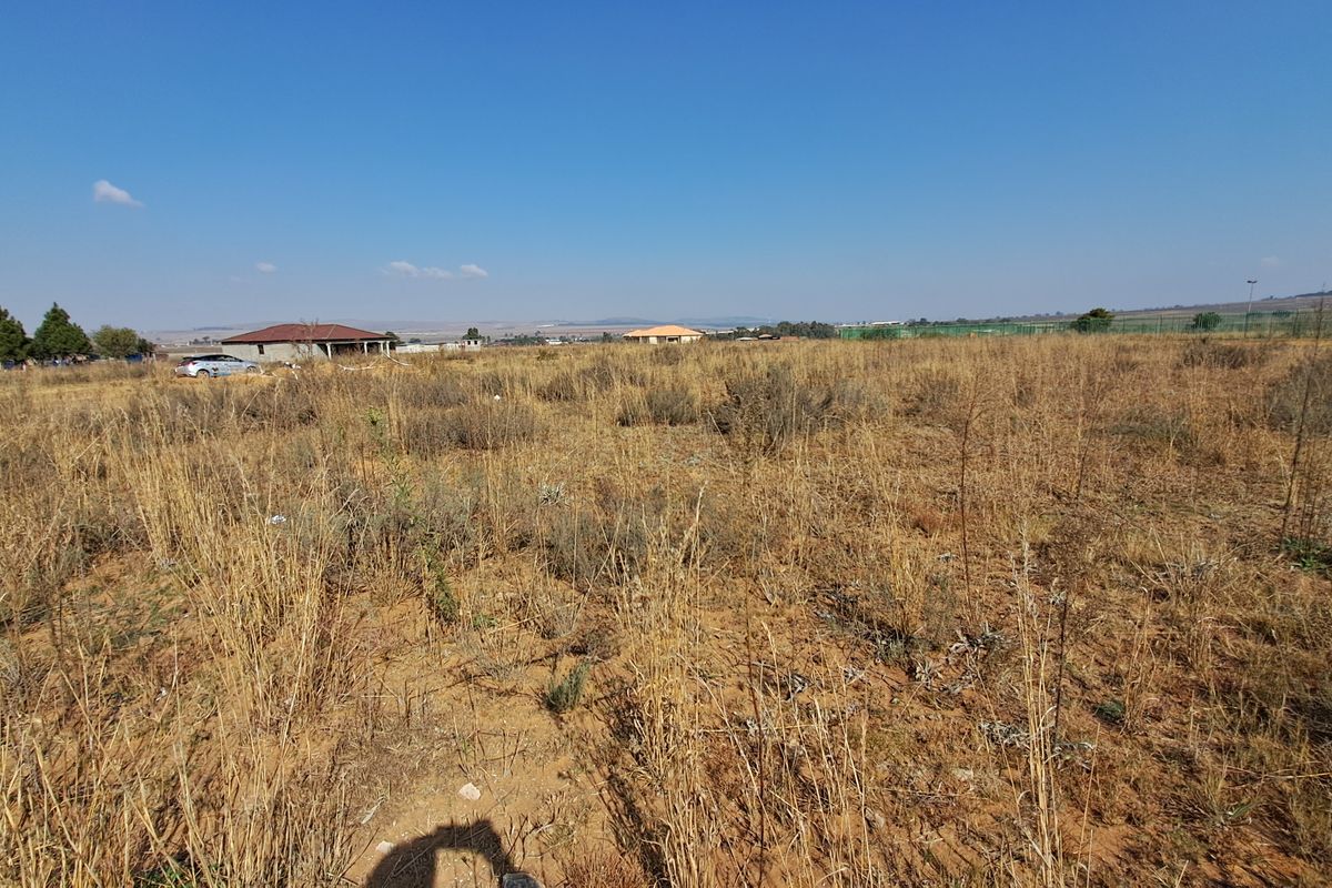 Sunset facing vacant land - Photo 5