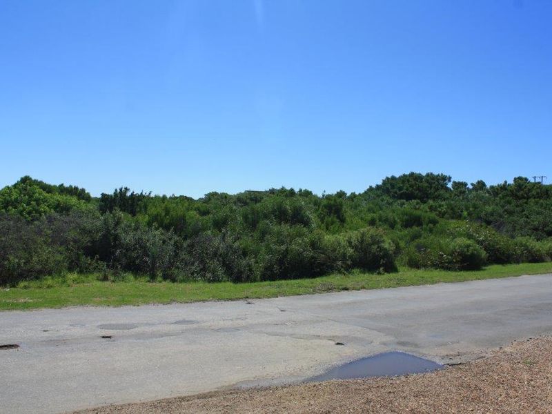 A street-level view of the vacant residential land, featuring an asphalt road frontage and established native vegetation.