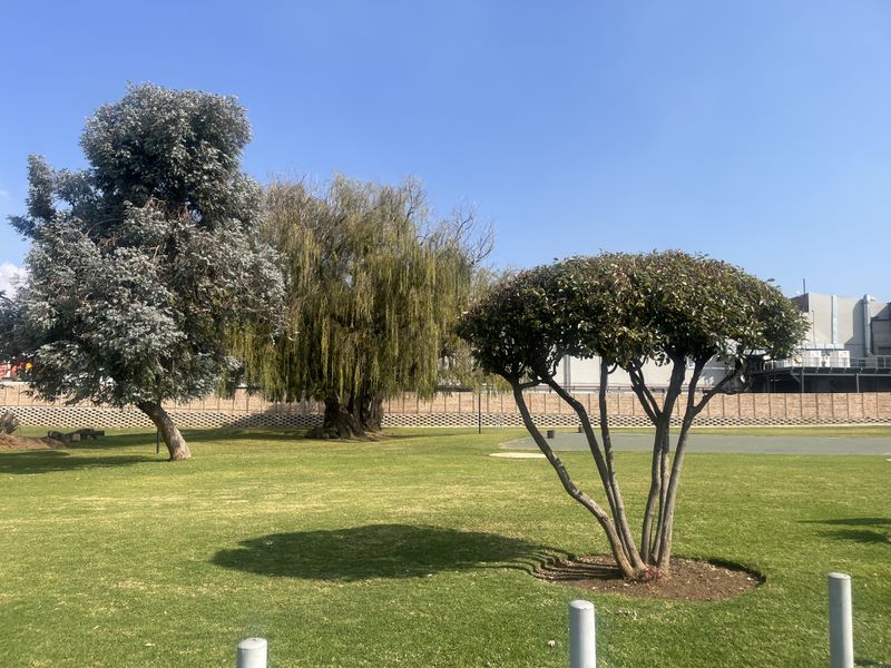 Apartment for Sale in Mulbarton, Johannesburg - Photo 9