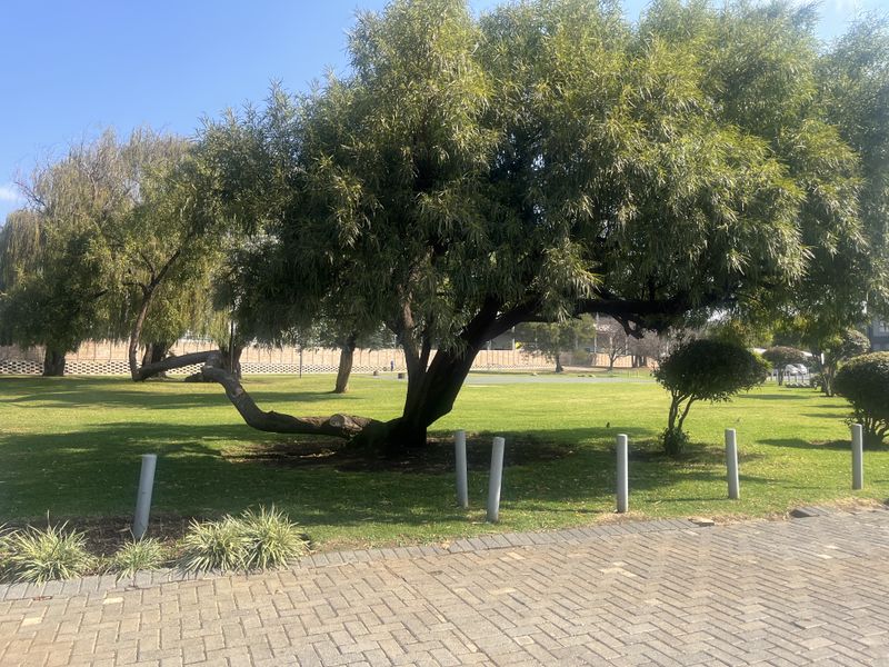 Apartment for Sale in Mulbarton, Johannesburg - Photo 7