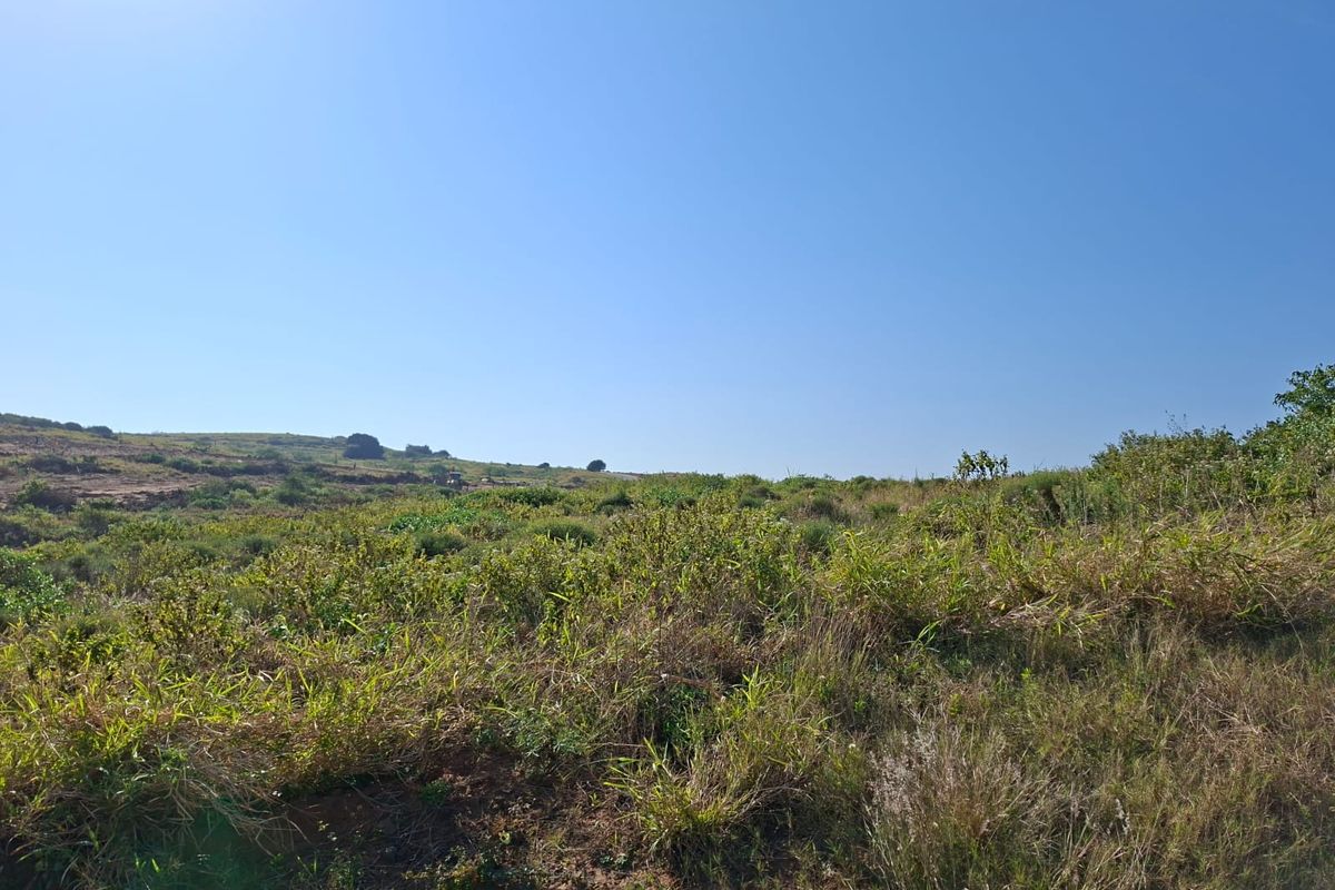 A view of an undeveloped residential plot featuring natural vegetation and open terrain under a clear blue sky.