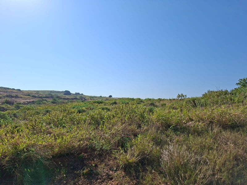Prime 1352m2 Vacant Land in Seaton Estate with sea views - Photo 4