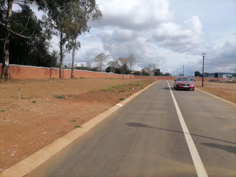 A view of a paved residential street with concrete curbing, street lighting, and a perimeter brick wall bordering a vacant plot of land.