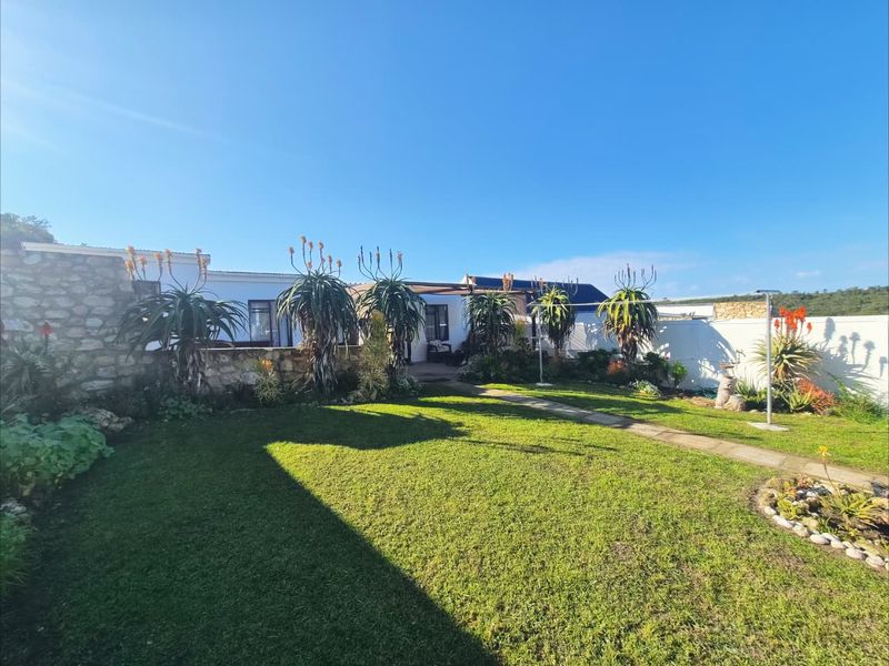 A well-maintained rear garden featuring a stone retaining wall, a paved walkway, and established landscaping with a lawn area.