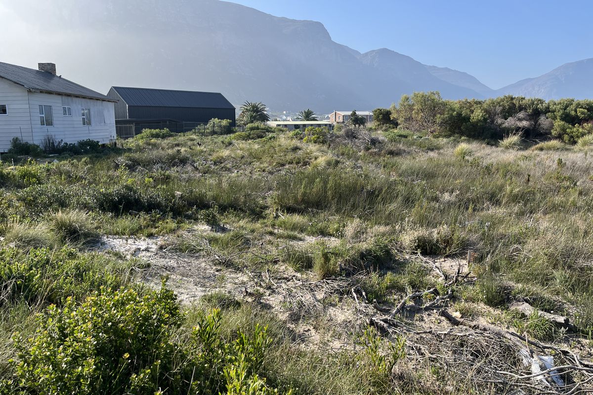 A vacant residential plot featuring natural vegetation and scenic mountain views, situated in a quiet neighborhood setting.