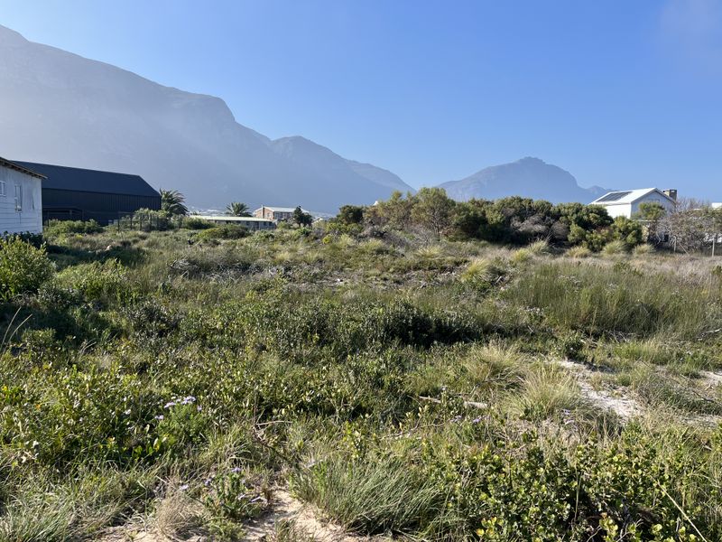 Prime Vacant Stand in Sought-After Betty's Bay – Build Your Dream Coastal Retreat