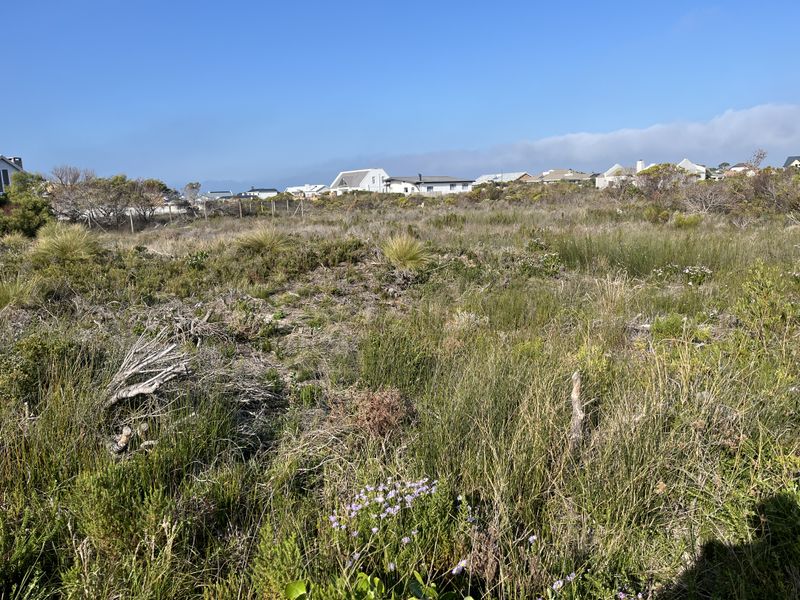 Prime Vacant Stand in Sought-After Betty's Bay – Build Your Dream Coastal Retreat - Photo 9