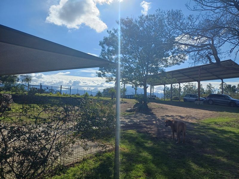 Country living at its best - Photo 10