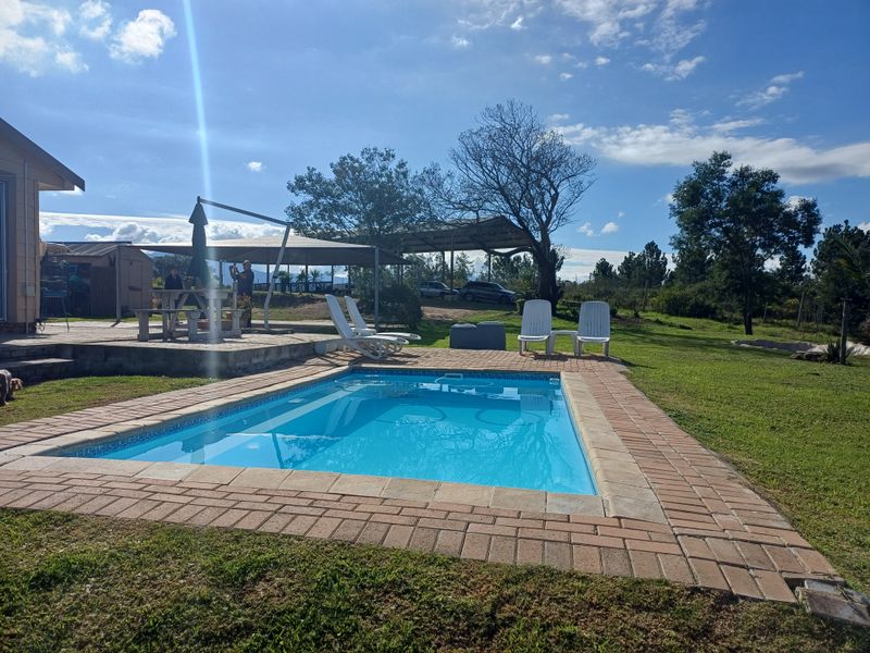 Country living at its best - Photo 7