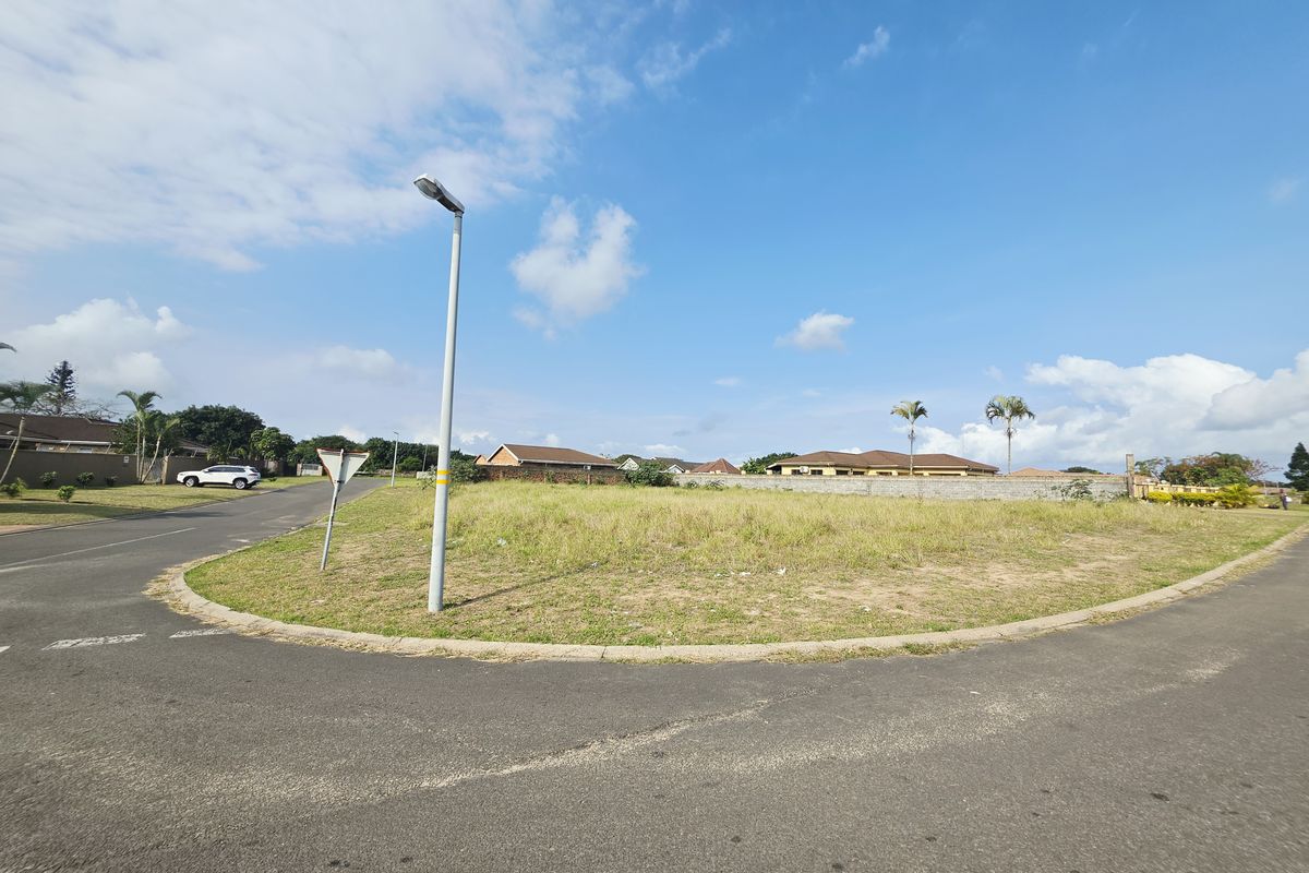 A vacant residential corner plot featuring established street infrastructure, concrete curbing, and surrounding boundary walls in a developed neighborhood.