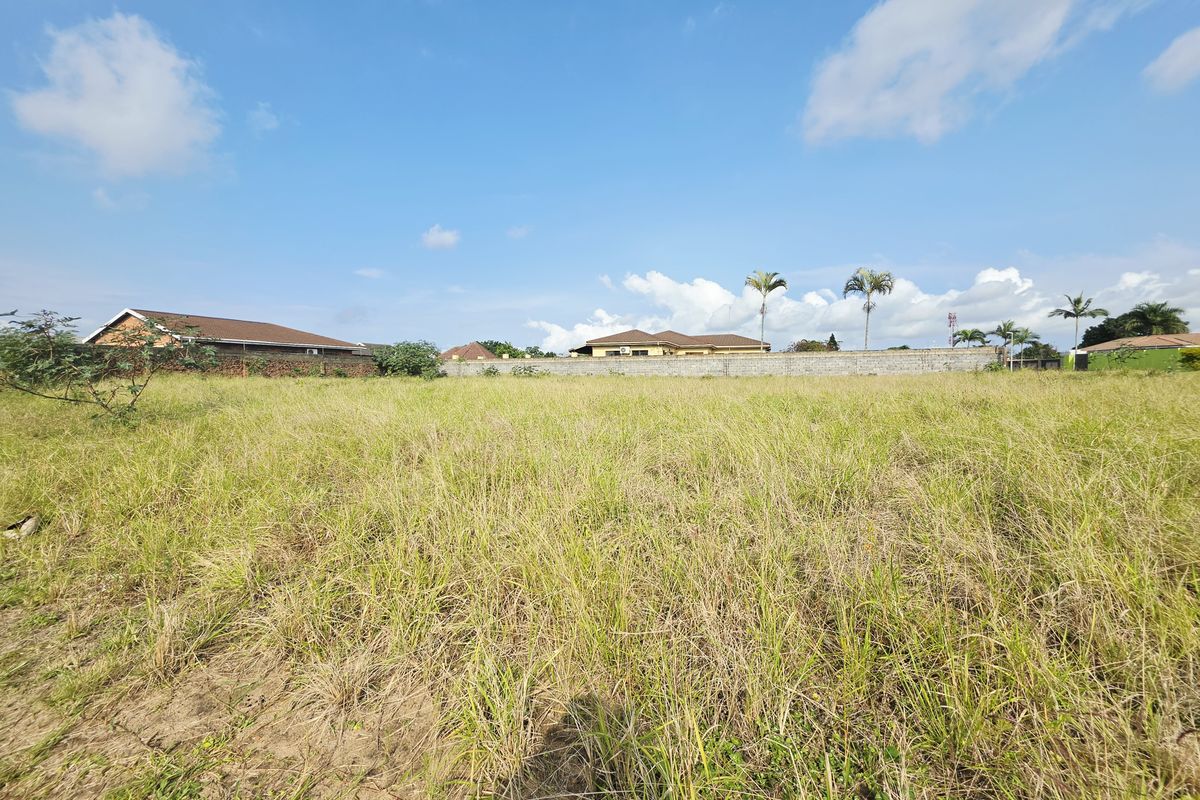 A vacant residential plot featuring natural grass cover and a perimeter boundary wall, offering a clear space for future development.