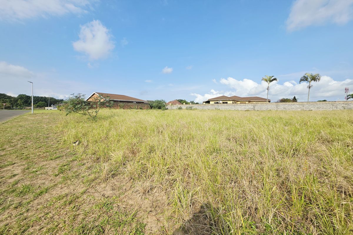A vacant residential plot featuring natural grass coverage, enclosed by a perimeter wall, situated in a developed neighborhood with street access.