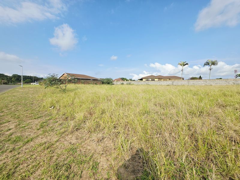 Prime Corner Stand in Birdswood – 1,388m2 of Endless Potential - Photo 3