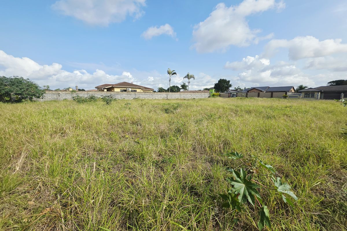A vacant residential plot featuring overgrown grass and a perimeter boundary wall, offering a clear space for future development.