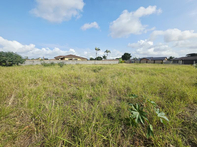 Prime Corner Stand in Birdswood – 1,388m2 of Endless Potential - Photo 4