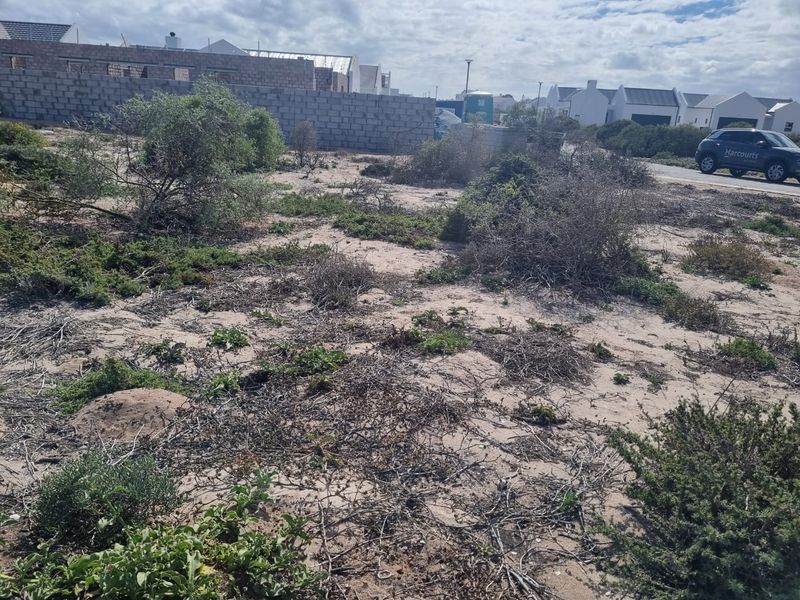 An undeveloped plot of land featuring sandy terrain and native coastal vegetation, situated in a residential area.
