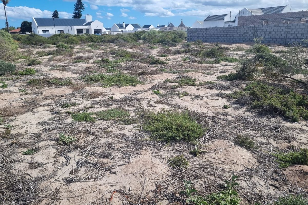 An undeveloped plot of land featuring sandy terrain, native vegetation, and a partial concrete block boundary wall in a residential neighborhood.