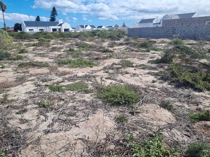 An undeveloped plot of land featuring sandy terrain, native vegetation, and a partial concrete block boundary wall in a residential neighborhood.