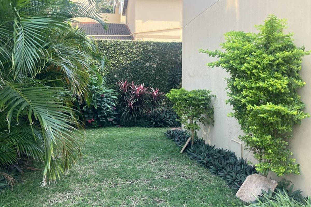 A well-maintained rear garden area featuring established landscaping, lush greenery, and a solid boundary wall providing privacy.