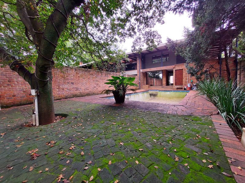 Rear garden area featuring a swimming pool, brick boundary walls, and paved patio space, requiring maintenance and cleaning of surfaces.