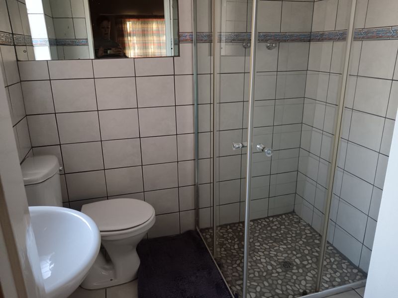 A functional bathroom featuring a shower enclosure with a pebble floor, a standard toilet, and a pedestal basin with wall-mounted mirror.