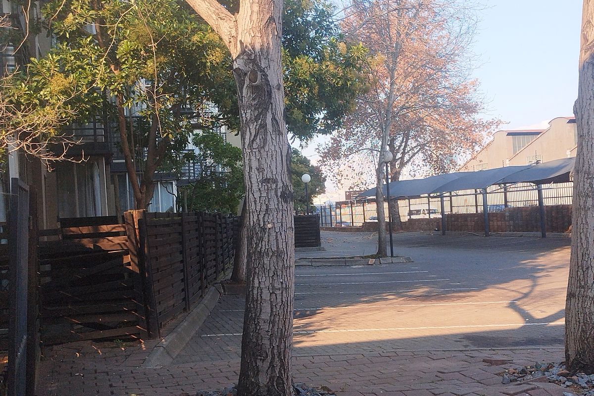 Exterior view of the property rear featuring a paved parking area, covered carports, and established trees with timber fencing.