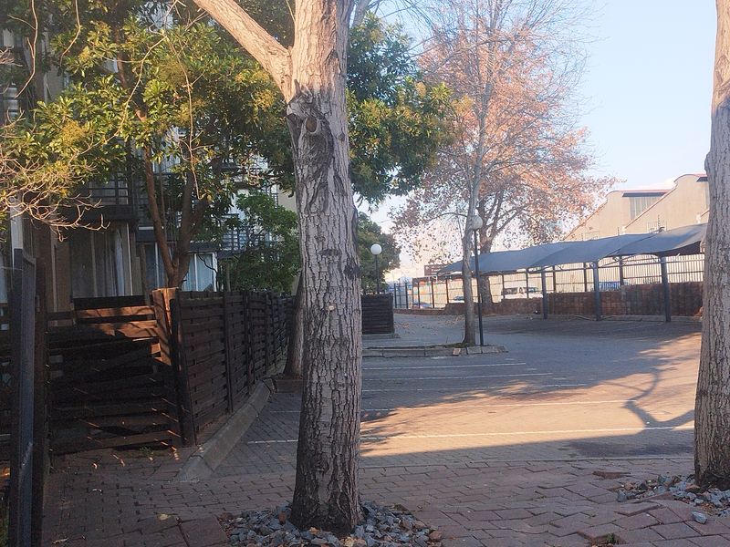 Exterior view of the property rear featuring a paved parking area, covered carports, and established trees with timber fencing.