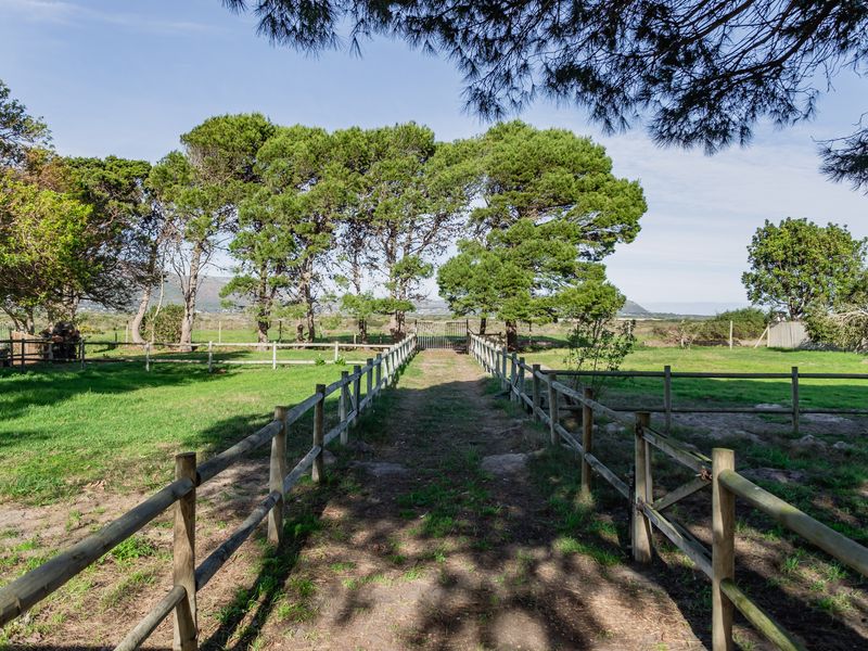 A well-maintained vacant residential plot featuring established pine trees, timber post and rail fencing, and a clear central pathway leading to a rear gate.