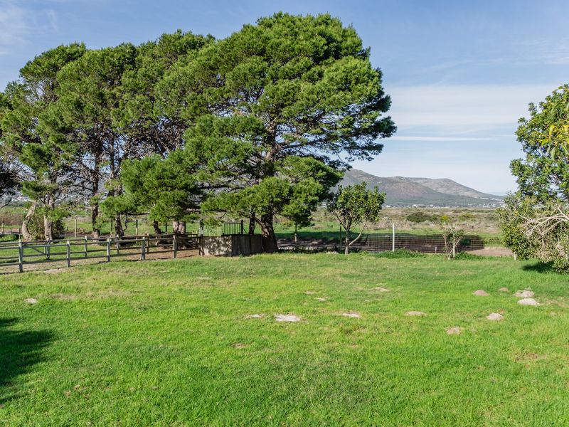 A spacious, well-maintained residential plot featuring mature pine trees, established lawn, and secure perimeter fencing with scenic mountain views.