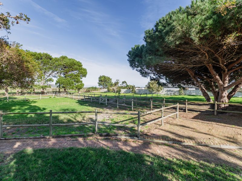 A well-maintained residential garden featuring mature pine trees, timber post and rail fencing, and a brick paved pathway.