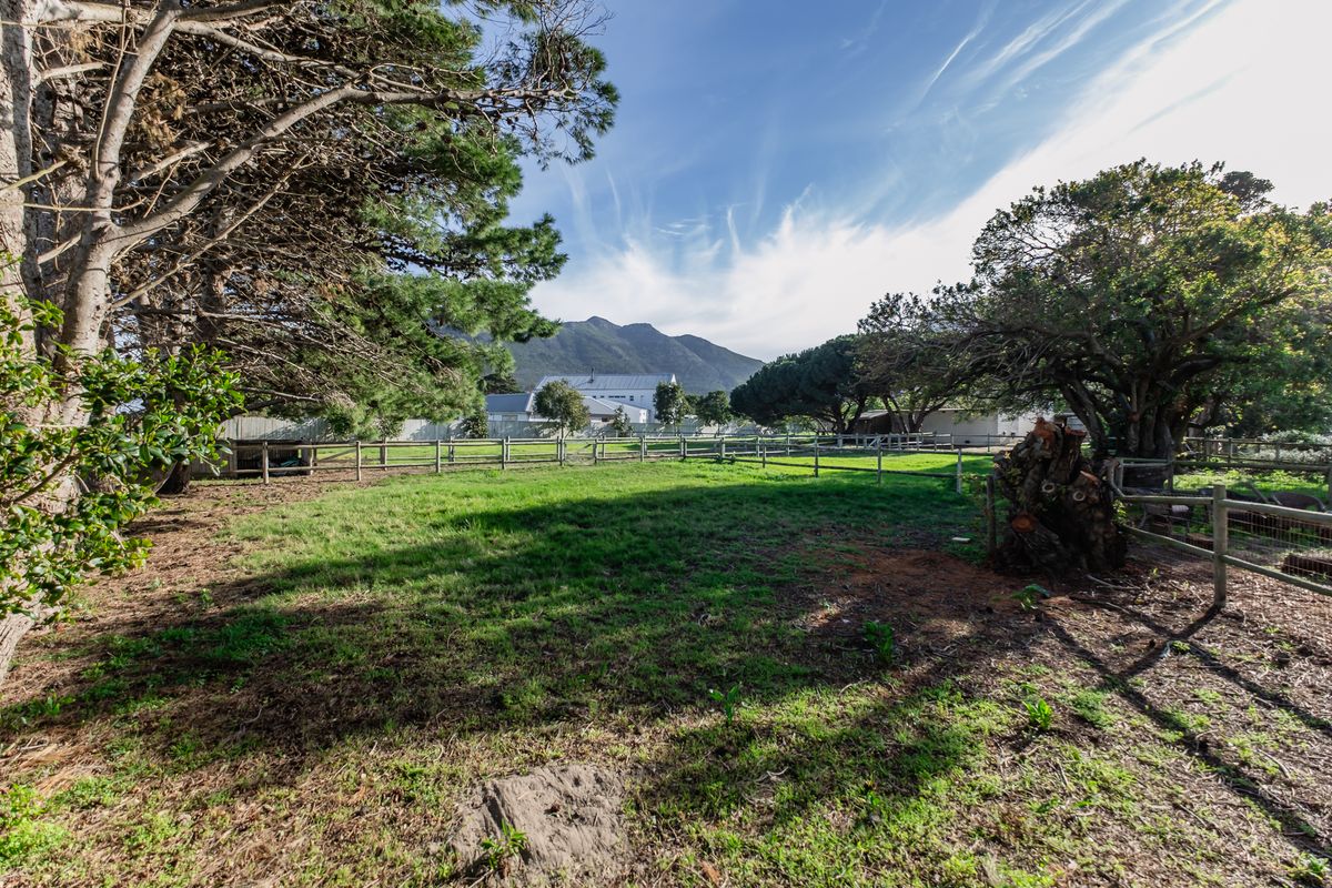 A spacious, fenced residential garden area featuring mature trees and mountain views, offering a peaceful outdoor setting.