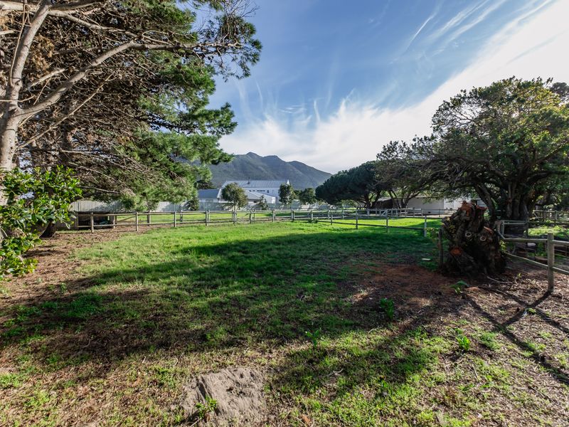 A spacious, fenced residential garden area featuring mature trees and mountain views, offering a peaceful outdoor setting.