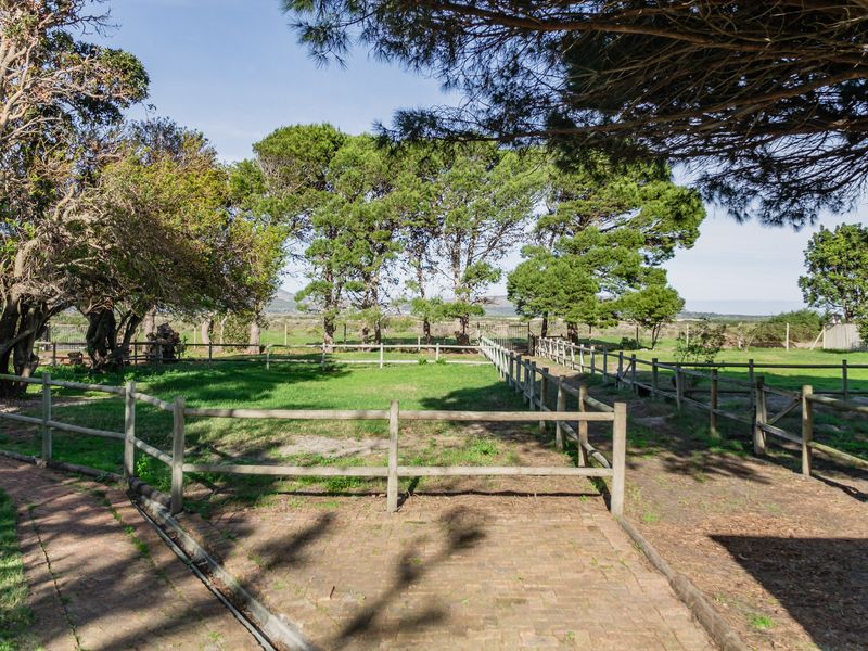 A well-maintained residential garden featuring a brick paved pathway, established mature trees, and timber post and rail fencing enclosing a grass lawn.