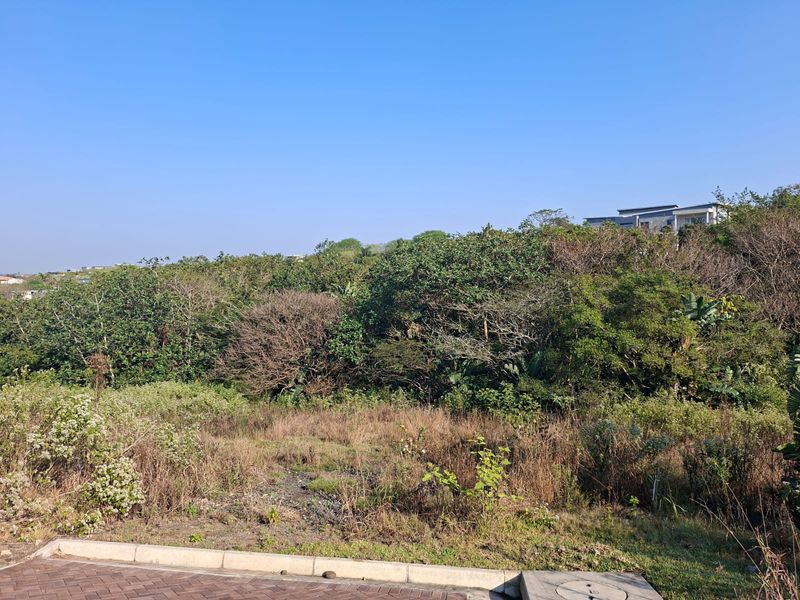 866m2 Vacant Stand - Build Without Compromise - Photo 3