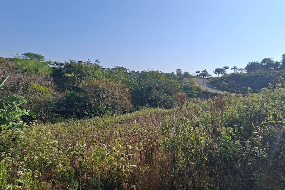 A view of the vacant residential land featuring natural vegetation and sloped terrain with a distant road and surrounding landscape.