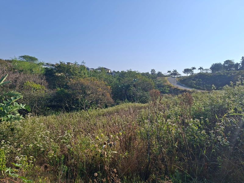 A view of the vacant residential land featuring natural vegetation and sloped terrain with a distant road and surrounding landscape.