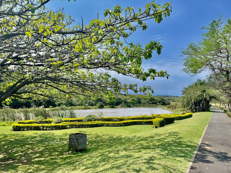 Where Great Homes Begin - 662m2 in Palm Lakes Family Estate - Photo 8