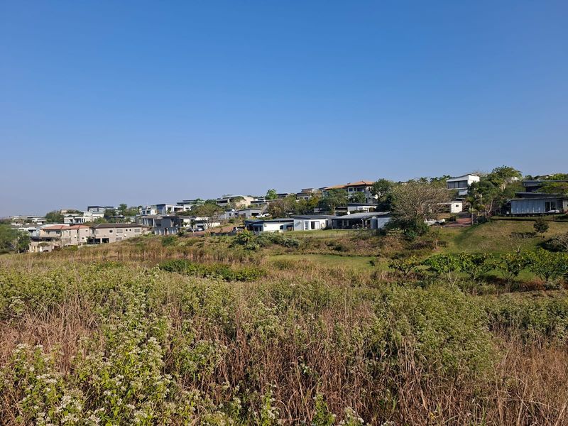 A wide-angle view of a vacant residential plot featuring natural vegetation with established residential properties visible in the background.