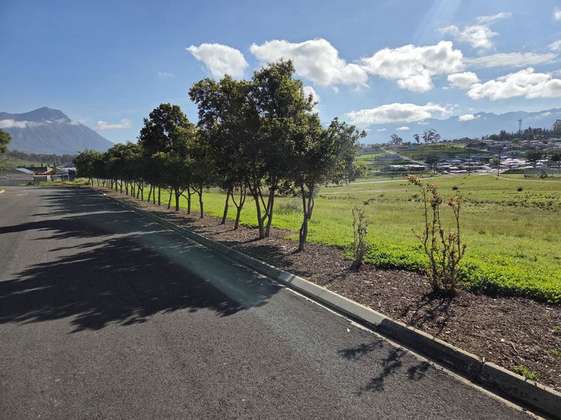 A view of the street frontage featuring an asphalt road, concrete curbing, and a landscaped verge with established trees.