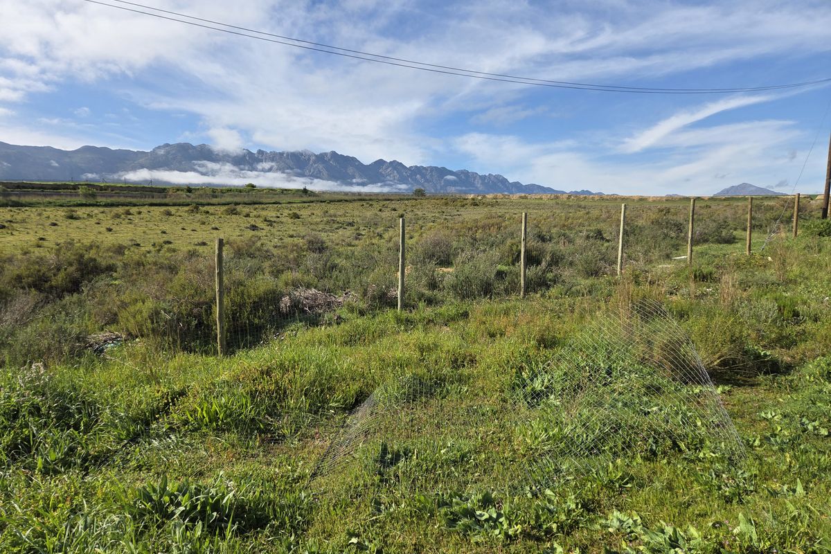 Prime 717m2 Vacant Stand with Mountain Views – Erf 626, Magnolia Street, Tulbagh - Photo 5