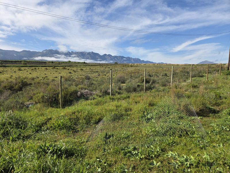 Prime 717m2 Vacant Stand with Mountain Views – Erf 626, Magnolia Street, Tulbagh - Photo 5