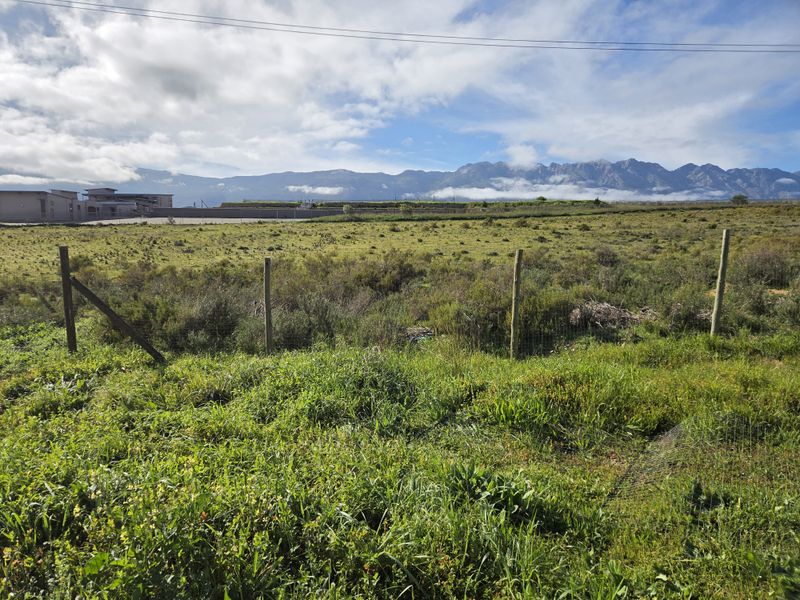Prime 717m2 Vacant Stand with Mountain Views – Erf 626, Magnolia Street, Tulbagh - Photo 6