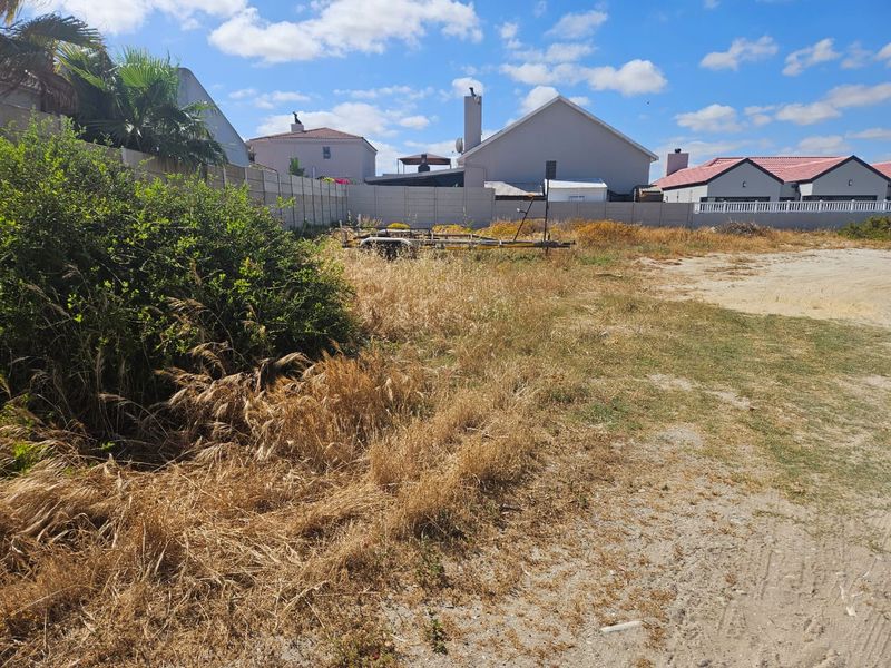 Modern Plot & Plan Opportunity - Photo 3