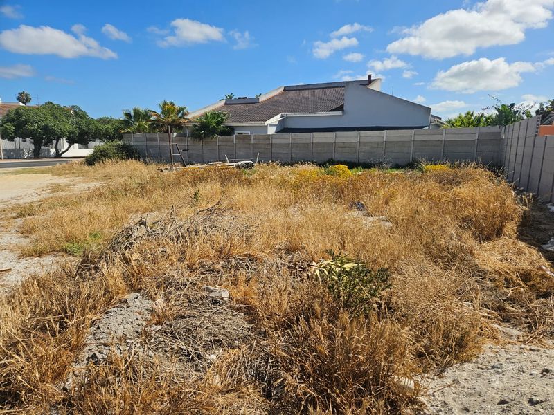 Modern Plot & Plan Opportunity - Photo 6